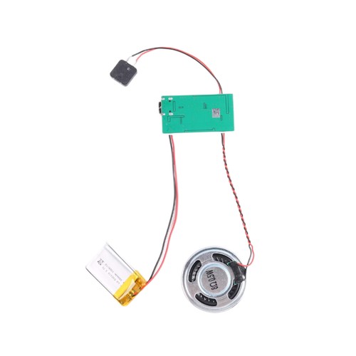 Programmable sound module - programmable,